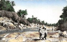 L'AFRIQUE DU NORD PITTORESQUE - Promenade dans l'Oued