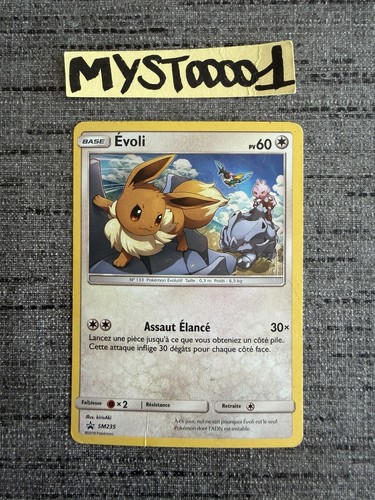 Carte pokémon evoli - pokémon,