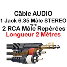 1 Câble Jack 6,35 Mâle