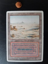 MTG désolation biland double terrain FWB