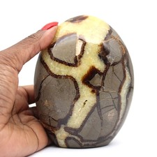 ▶️ Septaria de collection