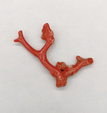 Branche De Corail Rouge