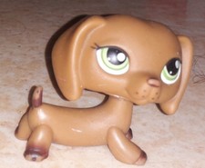 Petshop chien teckel 307