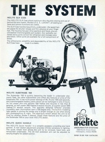 1980 ikelite print scuba - 1980,
