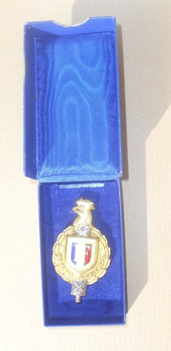 Insigne conseil municipal - conseil,