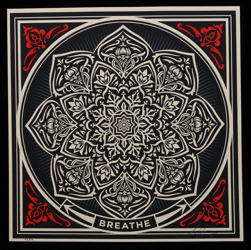 Shepard fairey wonder - shepard,
