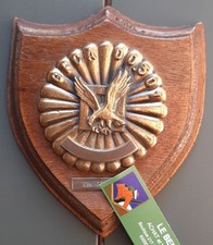 Plaque Bronze GFCA Groupe