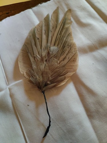 Application ancienne plume - ,