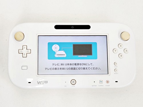 Nintendo wii game - wii, pad