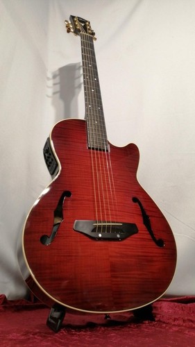 Guitare électrique acoustique