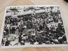 Photo  ancienne automobile , circuit  , racing , ferrari , course automobile