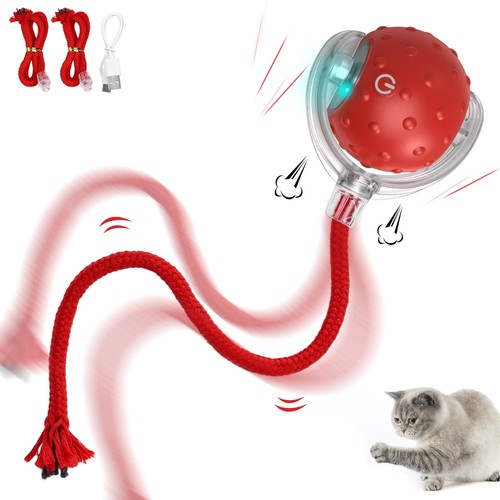 Jouet interactif pour - ,