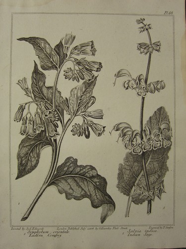 1806 daté fleur - daté,