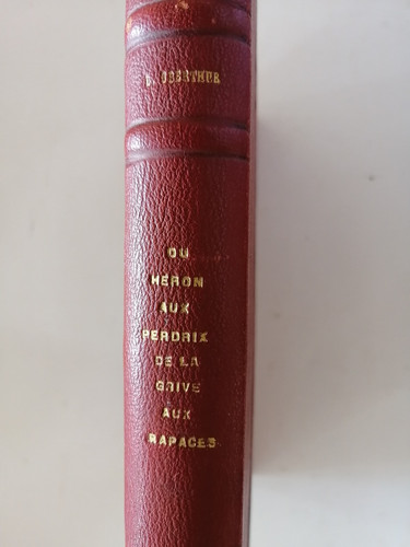 Livre sur les oiseaux - sur, sauvages