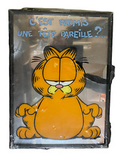 CADRE SOUS VERRE MIROIR GLACE DESSIN ANIMÉ GARFIELD PAS DVD LIVRE BD FIGURINE 
