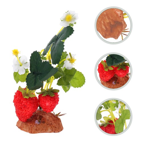 Décoration terrarium - de,