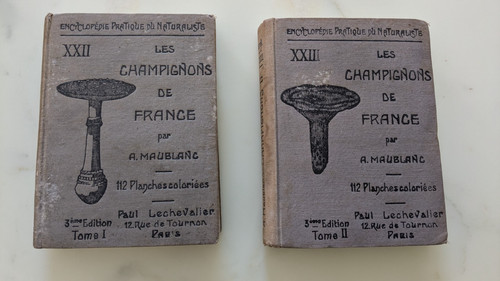 Maublanc les champignons - maublanc,