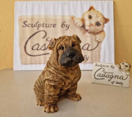 Castagna chiot shar pei - castagna,