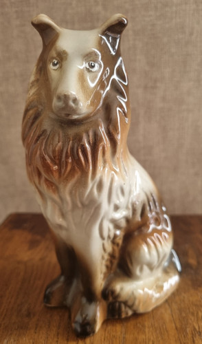 Grand chien colley lassie - chien,