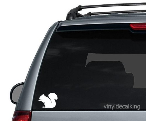 Squirrel decal vinyl truck - vinyl,