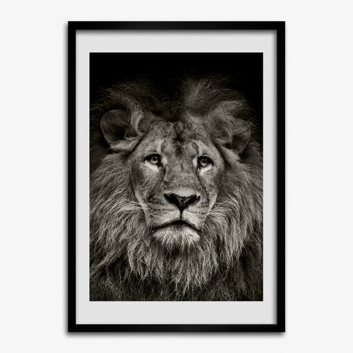 Photo cadre 50x70cm - 50x70cm, salon