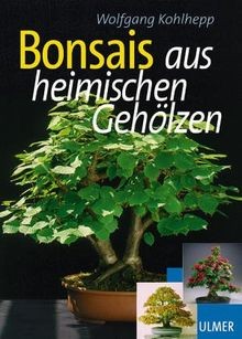 Schöne bonsais aus heimischen - aus,
