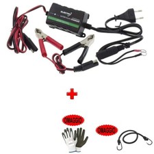 Pour Fantic Motor Koala 50