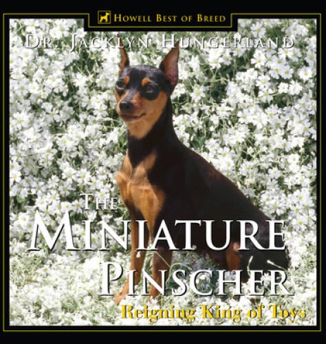The miniature pinscher - the,