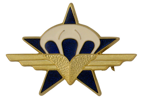 Insigne militaire military - insigne,