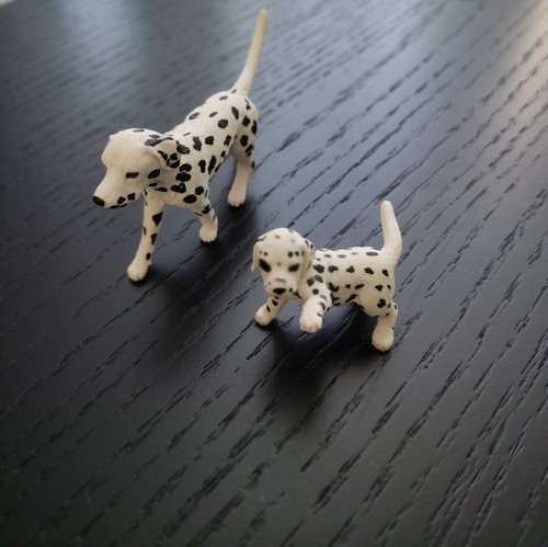 Famille chiens dalmatiens - de,