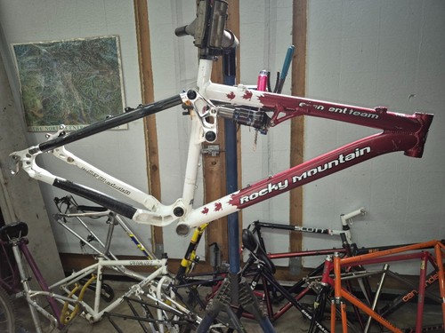 Vintage rocky mountain element - rocky,