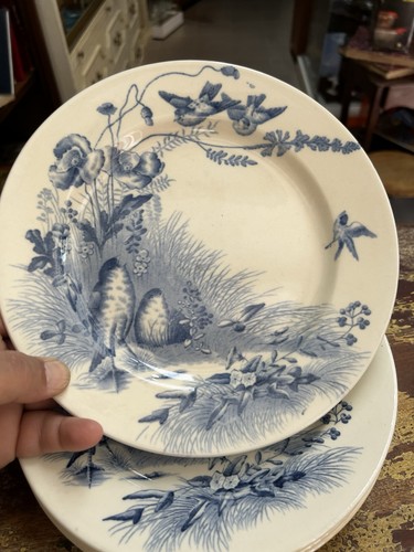 Assiettes plates jules - 6,
