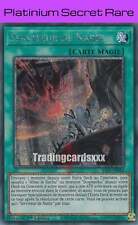 Yu-Gi-Oh! Serviteur de Nadir : PS RA01-FR062