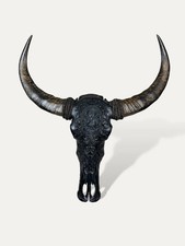 Crâne de buffle noir sculpté