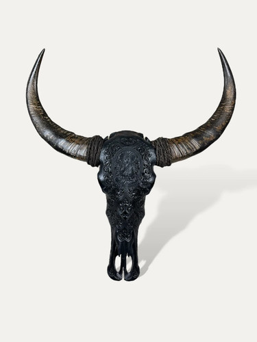 Crâne buffle noir sculpté - de,