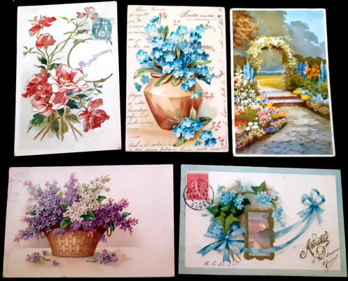 790 273 5 cartes - ,