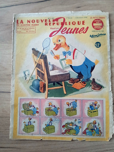 Petit canard colonel - canard,