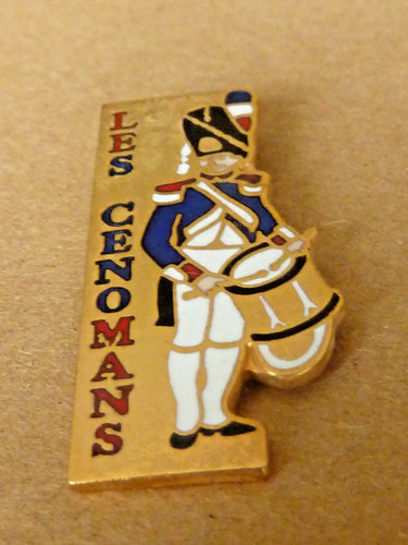 Pin pins badge les - pins,