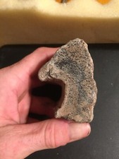 CJ—Crystalline Petrified Wood—Hallow Core