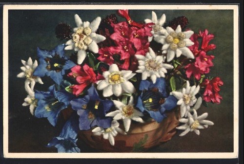 Carte postale photo emanuel - carte,