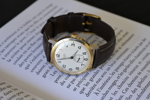 Montre vuillemain reigner - montre,