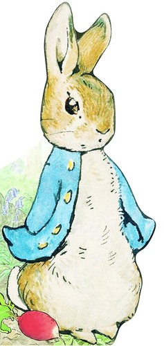 Bonjour pierre lapin - pierre,