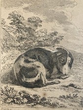 Belle Gravure Ancienne XVIIIe Chien Chasse Jacques Philippe Le Bas DESPORTES Art
