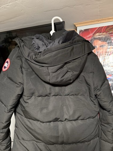 Canada goose - canada,