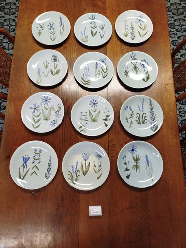 Assiettes plates roger - 12,
