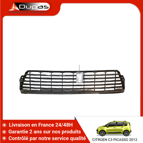 Grille pare choc - 🇫🇷,
