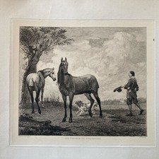 Gravure XIXème - Les chevaux