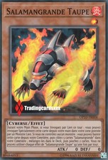 ♦Yu-Gi-Oh!♦ Salamangrande Taupe (Salamangreat Mole) : OP10-FR006 -VF/Super Rare-