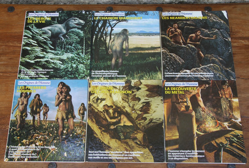Les origines homme - les, l'homme