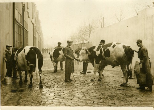Concours général agricole - "concours,